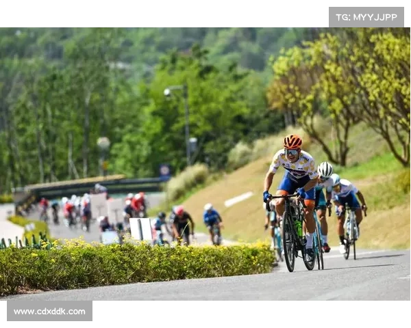 焦点赛事竞猜FIFA 焦点体育