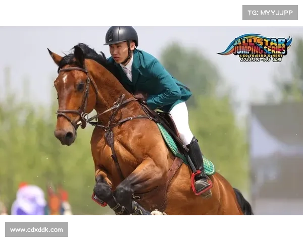 2024全国马术精英锦标赛盛大开幕汇聚顶尖骑手角逐荣耀时刻